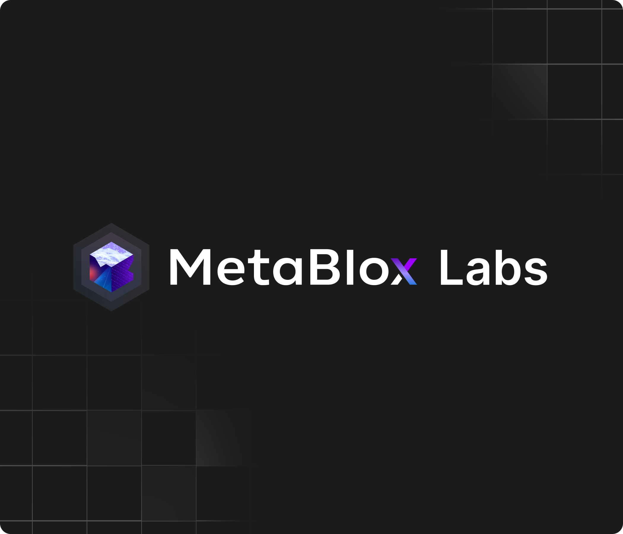 MetaBlox Labs